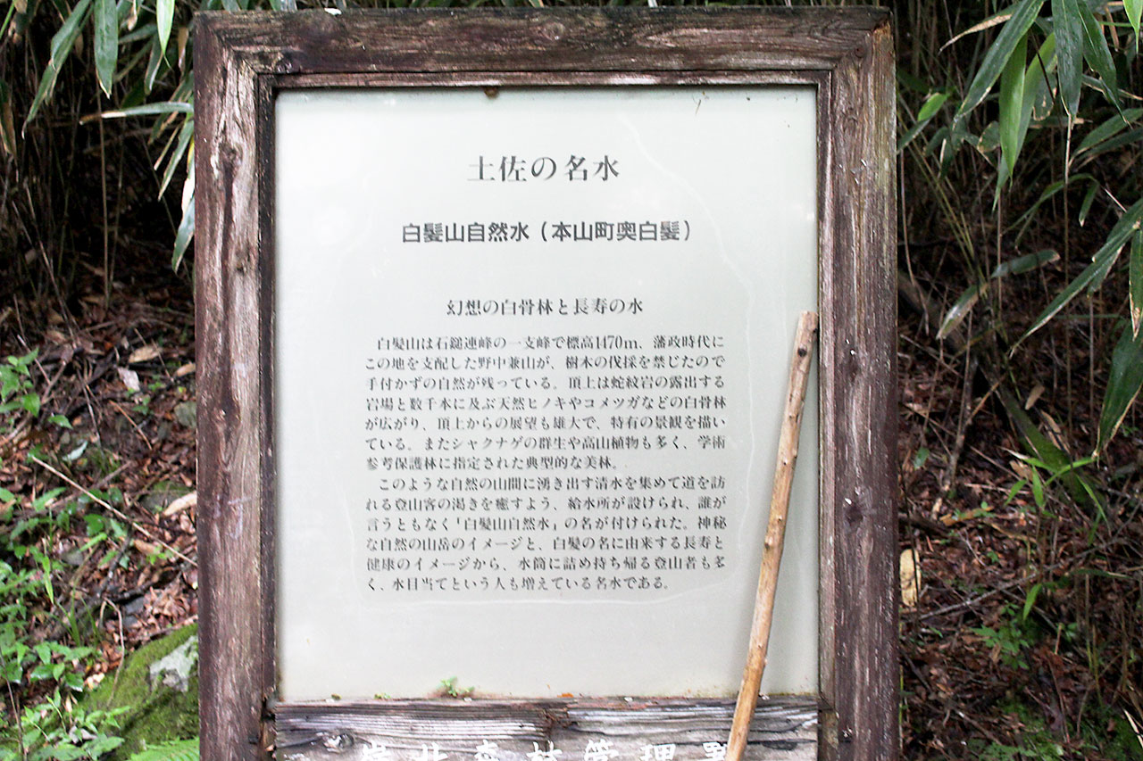 白髪山(根下がりヒノキ、白骨林) - 【公式】汗見川情報サイト｜高知県