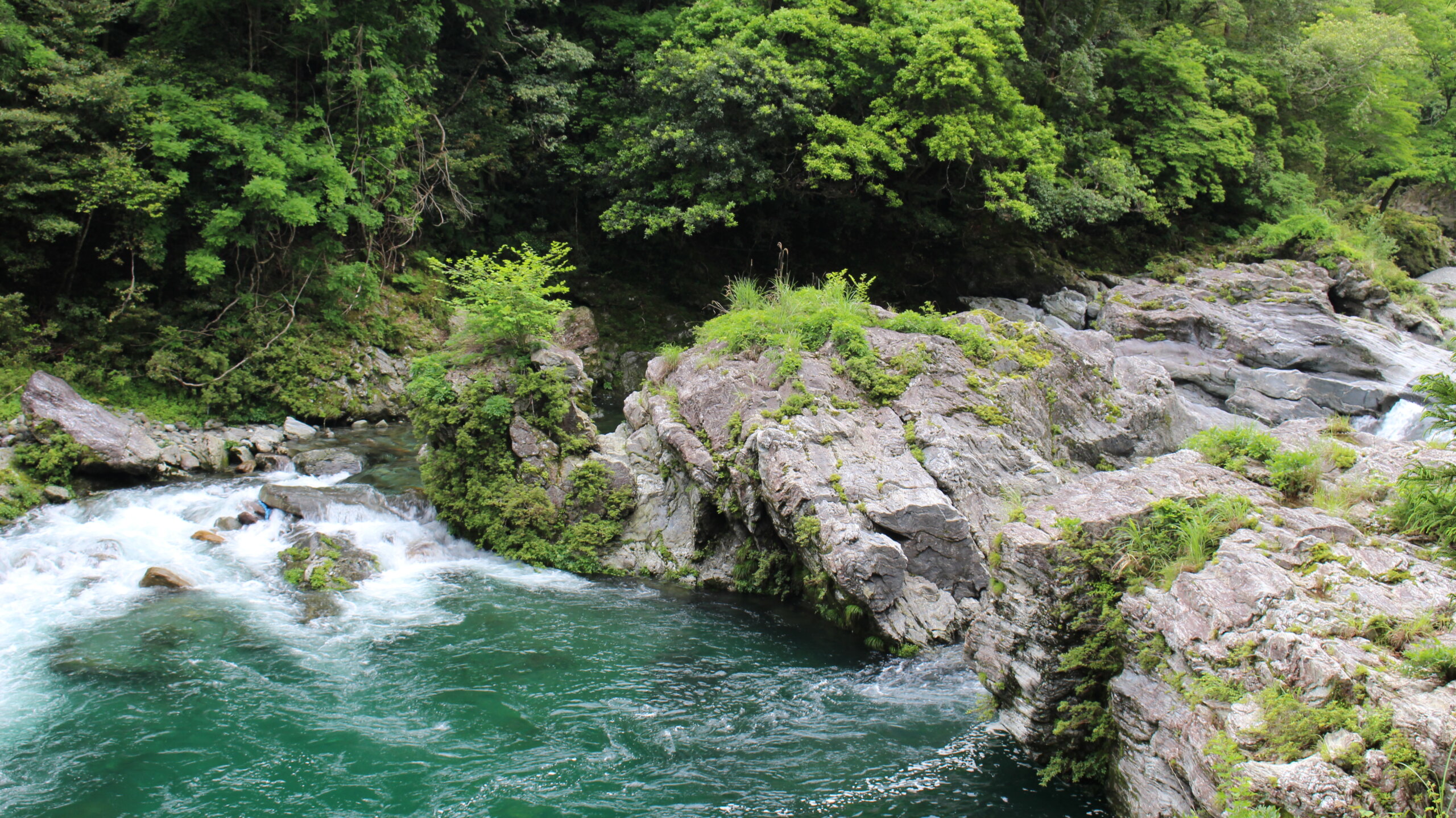 亀岩 - 【公式】汗見川情報サイト｜高知県本山町